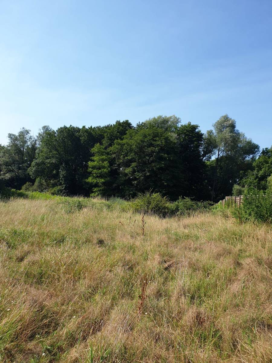 Terrain 720 m² viabilisé
