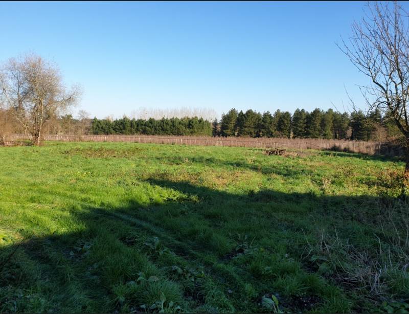 Terrain à batir de 1000 m² sur Fargues à 5 min de Langon