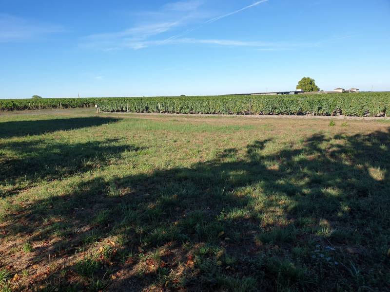 Terrain à batir 1000 m² Sauternes Langon