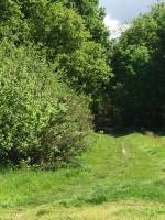 Le Teich a proximité de la gare terrain 600 m2 viabilisé